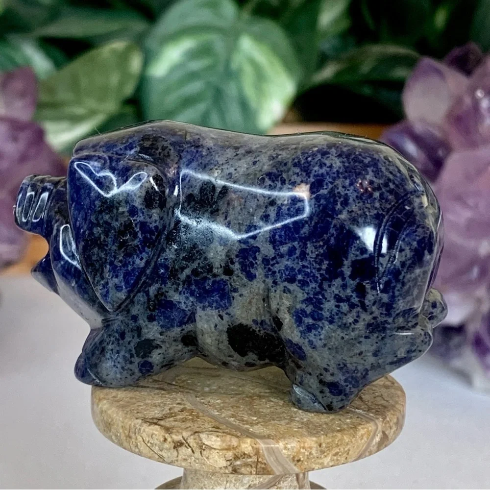 Sodalite Crystal Carved Pig Figurine Blue Stone Animal Carving Chinese Zodiac